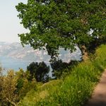 Explore a serene coastal trail with lush greenery and panoramic views in Praiano, Italy.